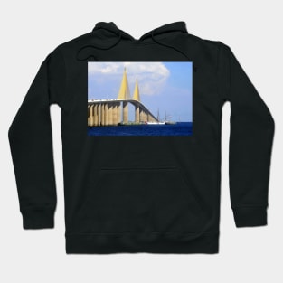 Eagle under the Skyway Hoodie